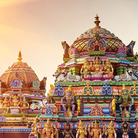 <span>Ayurveda en Inde</span><br>Le trésor de la sagesse antique, préservé par les habitants du pays.