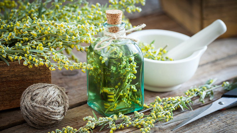 настой полыни горькой фото