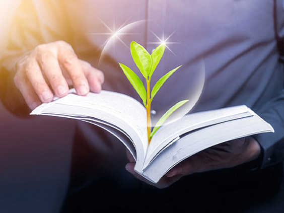 Выпускники