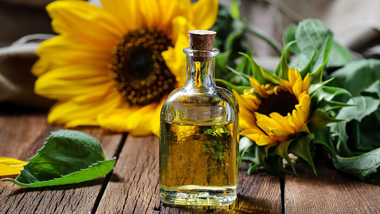 подсолнух, подсолнечное масло