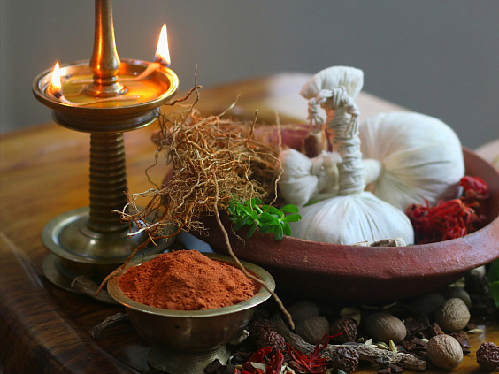 Взаимосвязь агни и амы в теле