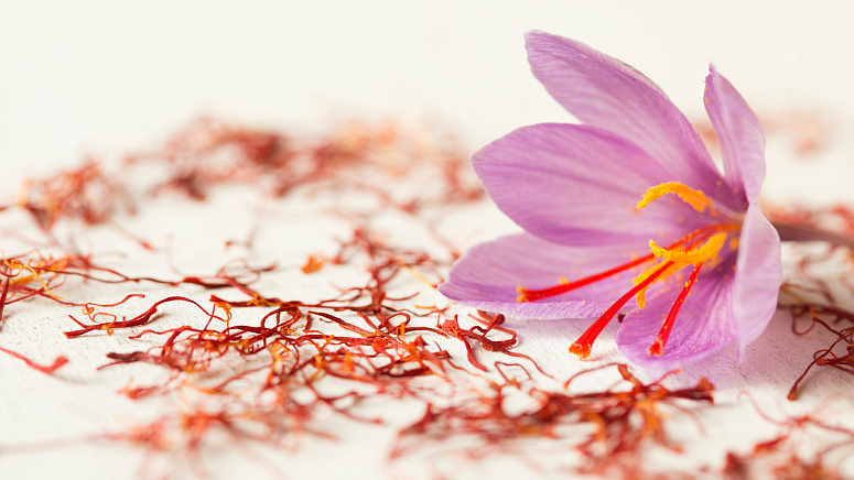 цветок шафрана, сушеный шафран