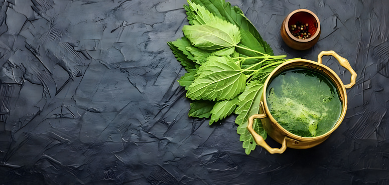 щи из крапивы фото