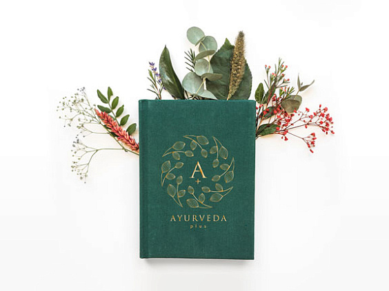 Отзывы студентов курса