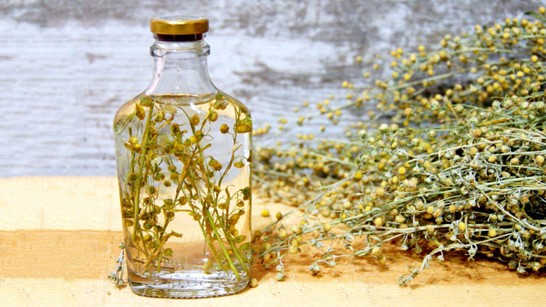 настойка полыни, полынь