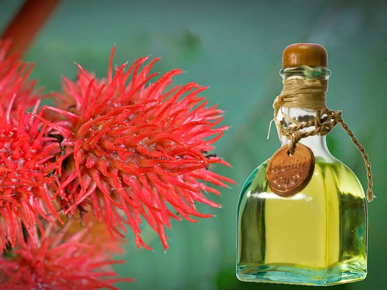 Касторовое масло в аюрведе