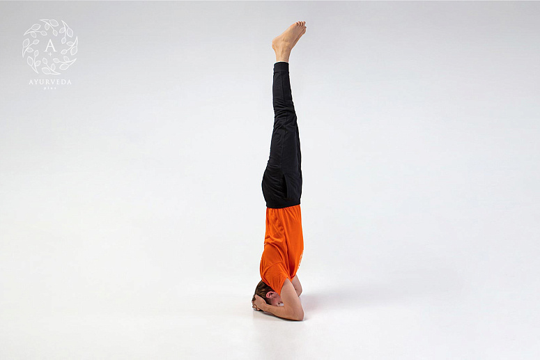 ширшасана фото