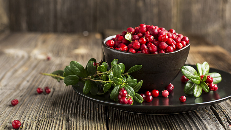 чашка брусники фото