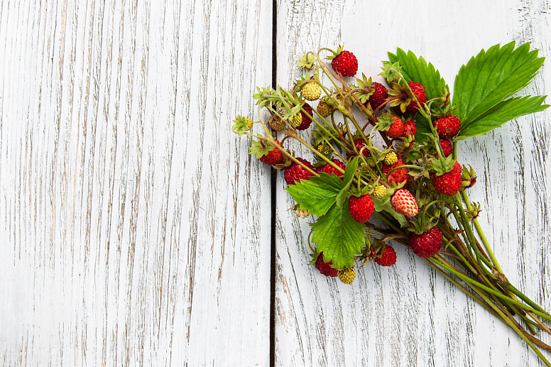 земляника садовая фото