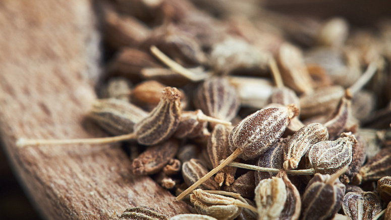 коробочки аниса фото