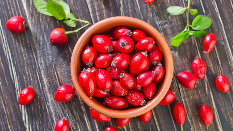 шиповник фото