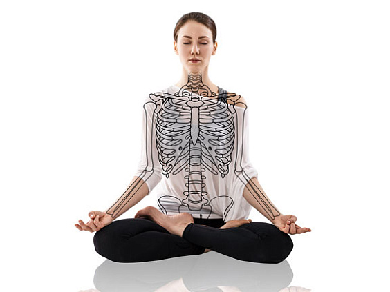 Астхи-дхату – костная система