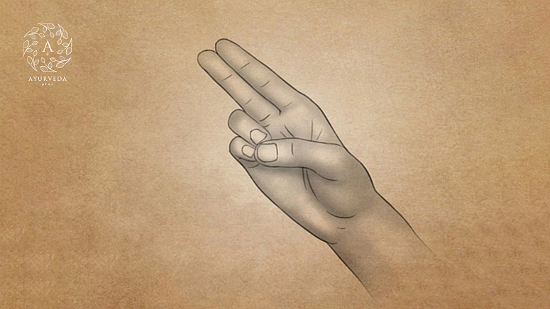 мудра жизни фото