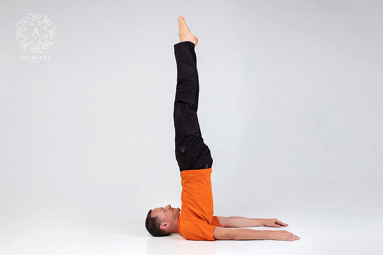 саламба сарвангасана фото