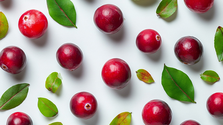 клюква фото