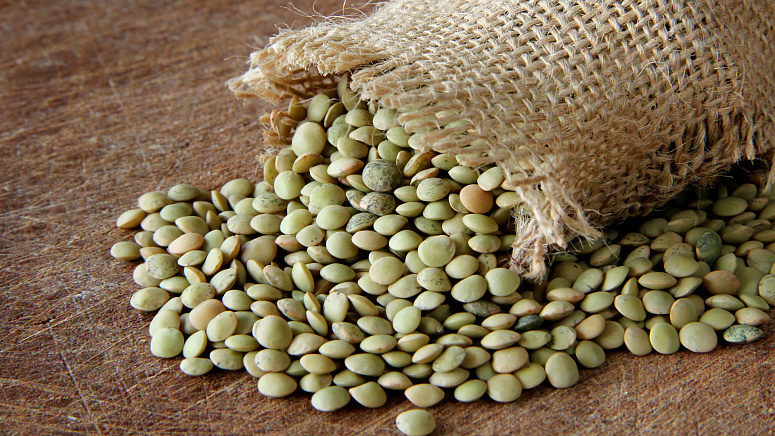 зеленая чечевица, мешок чечевицы