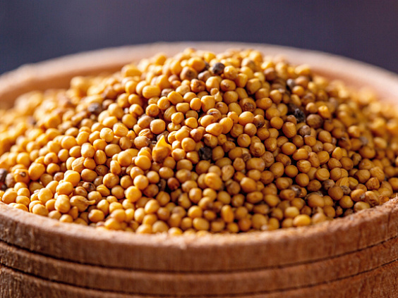 Семена горчицы стимулируют пищеварение