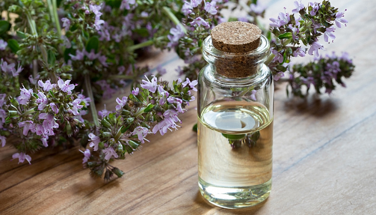 масло тимьяна, цветы чабреца, цветы тимьяна
