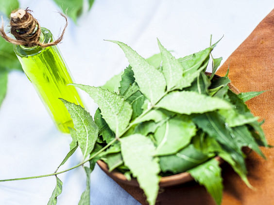 Пракрити в аюрведе