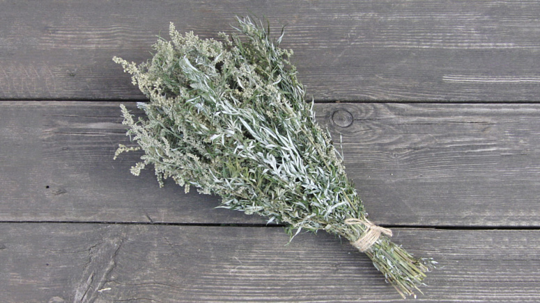 пучок полыни