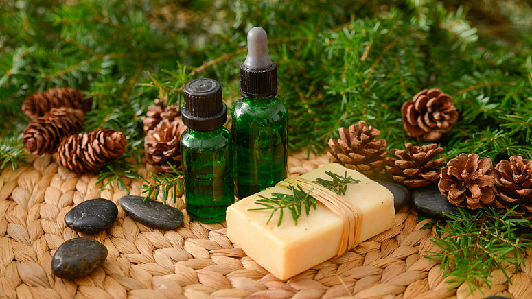 ароматерапия хвоя