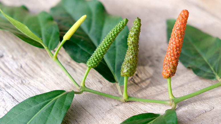 перец пиппали