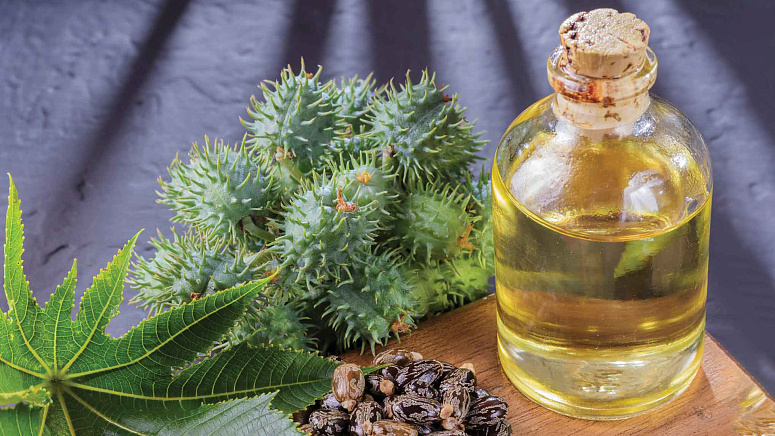 касторовое масло