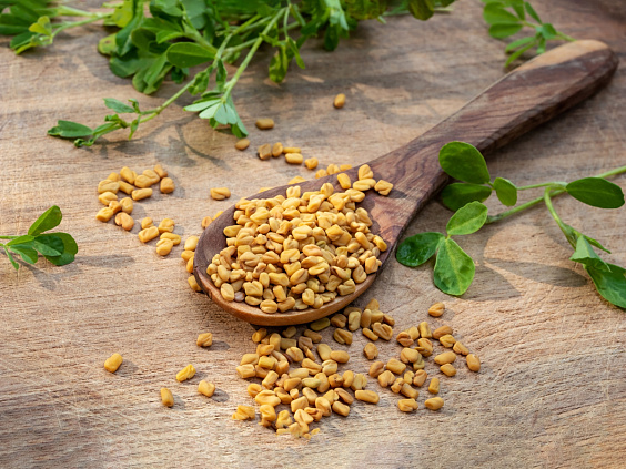 Применение пажитника в аюрведе