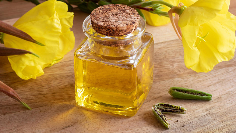 примула вечерняя, масло примулы вечерней, цветы примулы