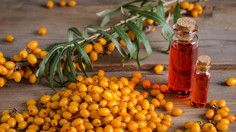 облепиха, облепиховое масло, ягоды облепихи
