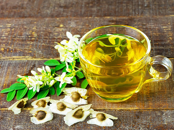 Моринга масличная — полезное растение, применяемое в аюрведе