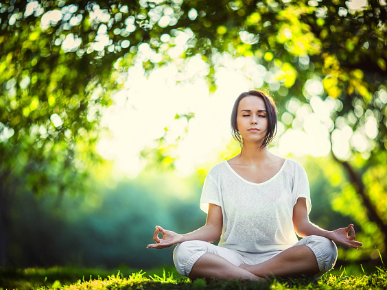 Принципы поведения «Яма» — первая ступень йоги Патанджали