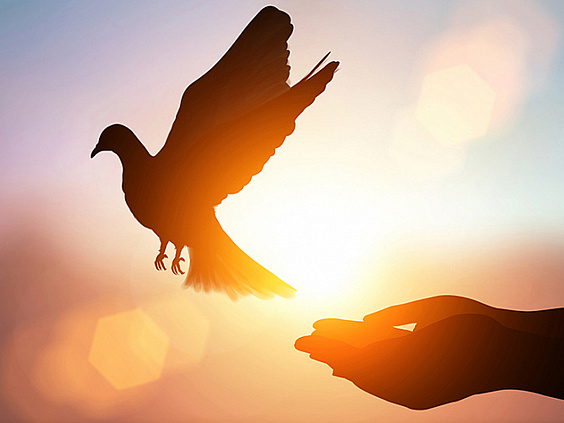 Ахимса — первый нравственный принцип в аштанга-йоге Патанджали