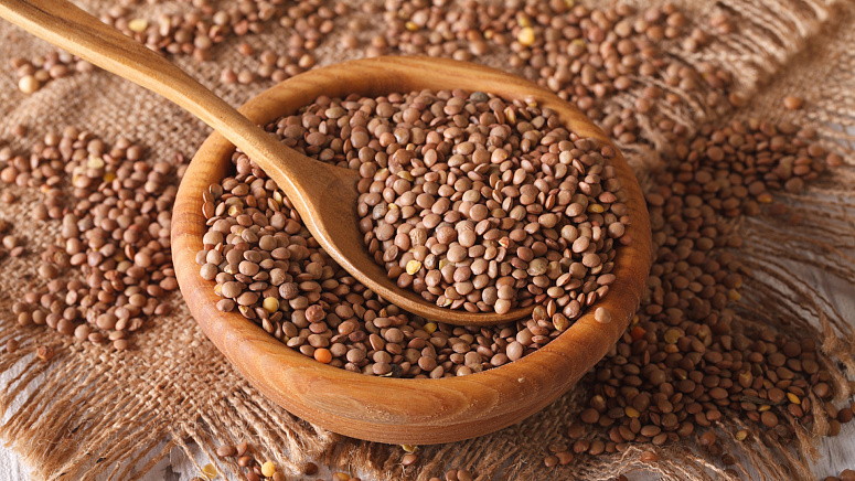 коричневая чечевица, чашка чечевицы