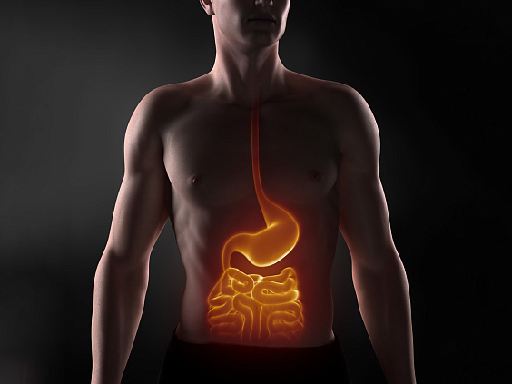 Пищеварительный огонь у разных дош аюрведы