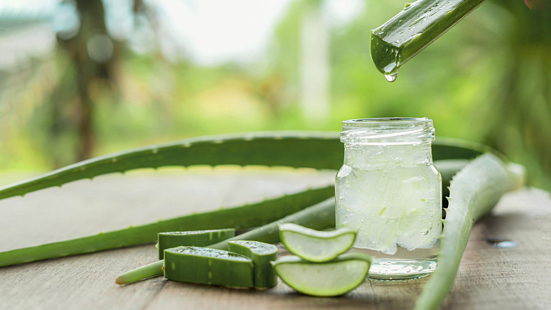 сок алоэ