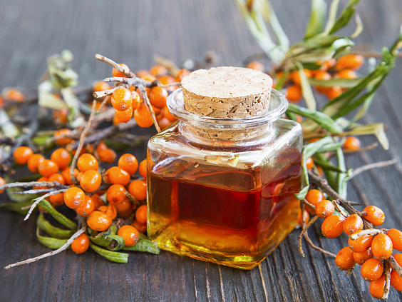 Лечебные свойства облепихового масла