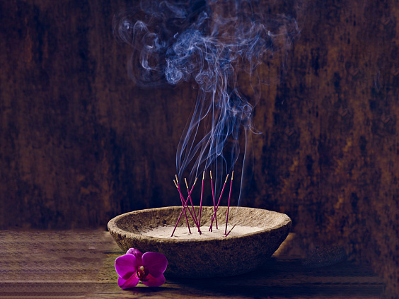 Средства аюрведы от комаров и мошек