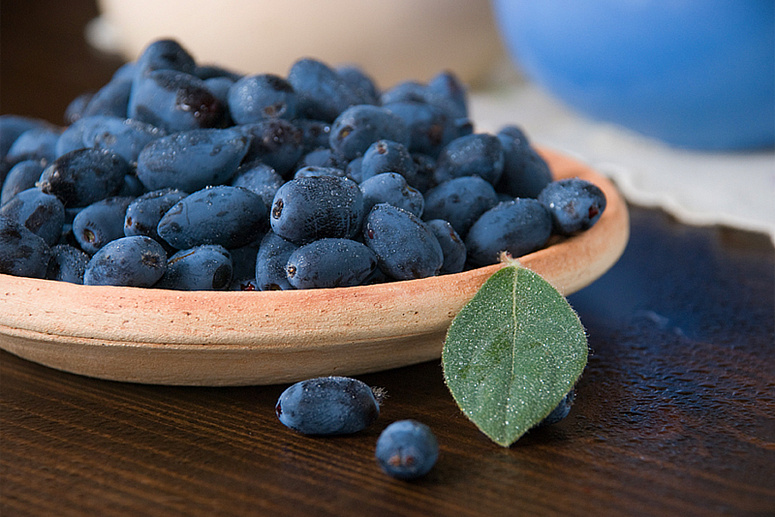 жимолость в тарелке