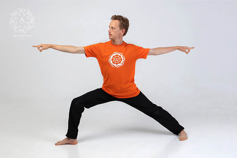 вирабхадрасана фото