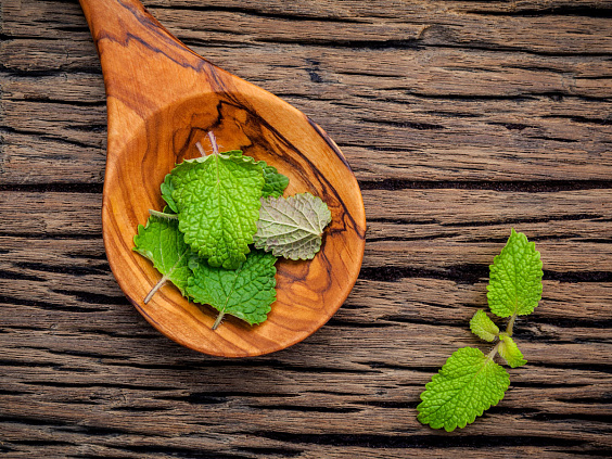 Мелисса — ароматная трава для чая