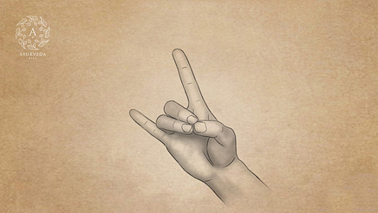 апана мудра фото