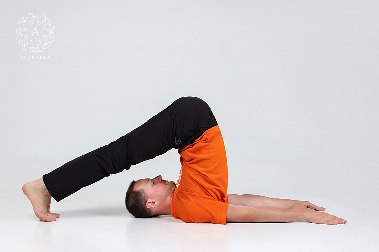 халасана фото