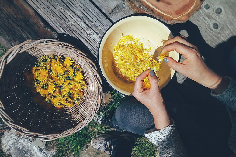 сортировка одуванчиков