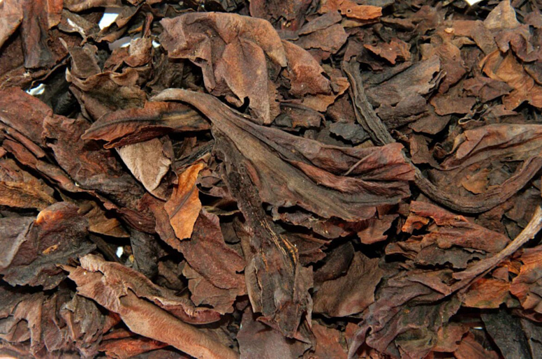 сушёные листья бадана