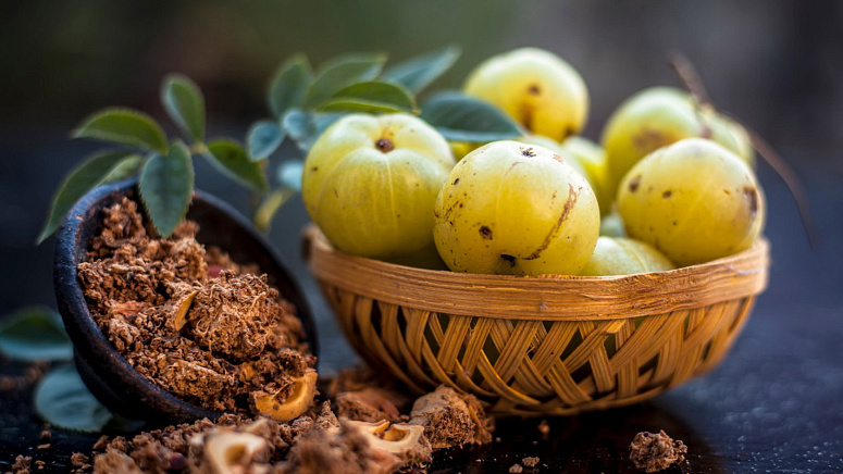 плоды амлы, амла