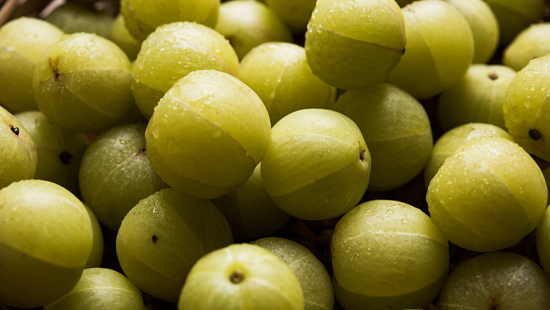 амла, плоды амлы