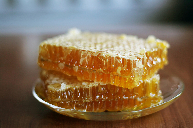 медовые соты фото