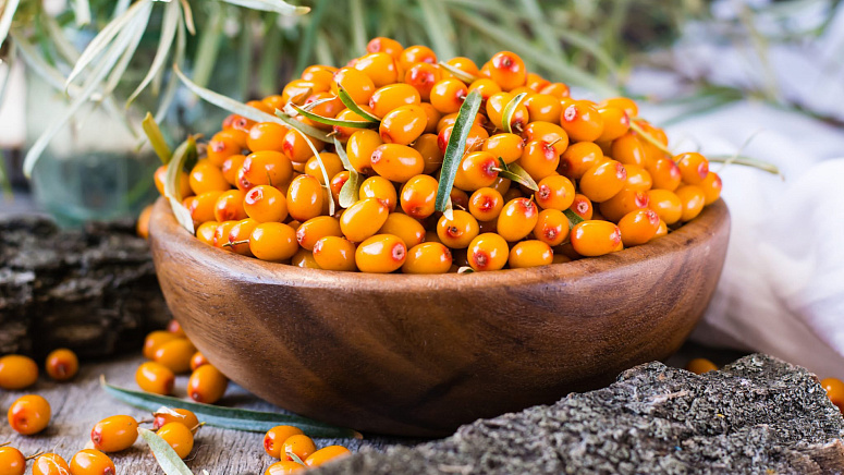 облепиха в чашке фото