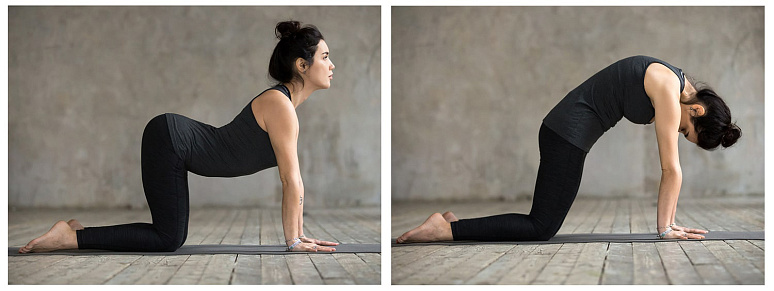 марджариасана, девушка в позе кошки